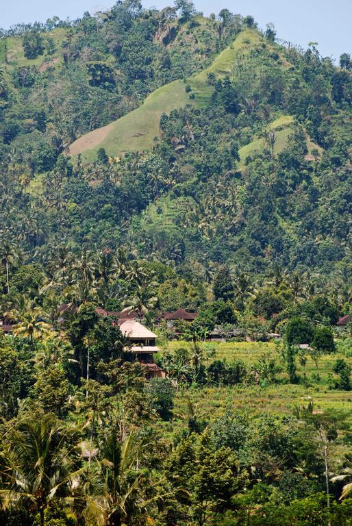 Bebek Biru Guest house Sidemen (Bali)
