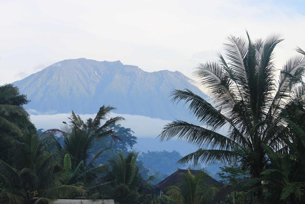 Guest house Bebek Biru